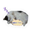 なるびびりん 3（個別スタンプ：34）
