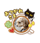 うちのララちゃんversion4（個別スタンプ：9）