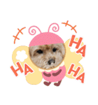 うちのララちゃんversion4（個別スタンプ：18）