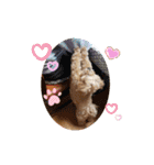 うちのララちゃんversion4（個別スタンプ：30）