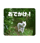 エラちゃんそのいち（個別スタンプ：1）