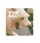 エラちゃんそのいち（個別スタンプ：2）