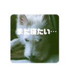 エラちゃんそのいち（個別スタンプ：3）