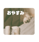 エラちゃんそのいち（個別スタンプ：4）