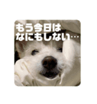 エラちゃんそのいち（個別スタンプ：5）