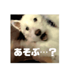 エラちゃんそのいち（個別スタンプ：7）