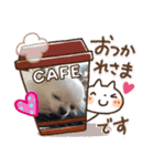ユキの日常（個別スタンプ：2）