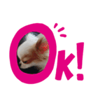 ユキの日常（個別スタンプ：6）