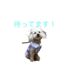 マハロの日常生活2（個別スタンプ：2）
