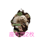 マハロの日常生活2（個別スタンプ：9）