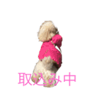 マハロの日常生活2（個別スタンプ：13）