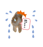 きくがわみかん（個別スタンプ：6）