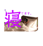 AU5歳だよー（個別スタンプ：12）