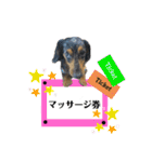 ゆうゆのチワワとダックス（個別スタンプ：31）