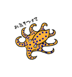 海の生き物たち for Divers（個別スタンプ：5）