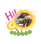 マハロの日常生活（個別スタンプ：3）