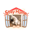 マハロの日常生活（個別スタンプ：15）