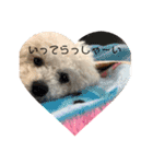 愛犬もく。#1（個別スタンプ：6）