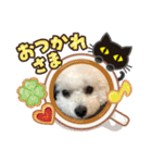 愛犬もく。#1（個別スタンプ：14）