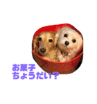 ハク様とテトりん（個別スタンプ：3）