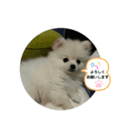 peace smile3（個別スタンプ：1）