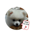 peace smile3（個別スタンプ：2）