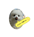 peace smile3（個別スタンプ：3）
