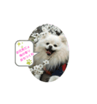 peace smile3（個別スタンプ：4）