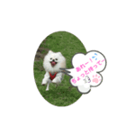 peace smile3（個別スタンプ：5）