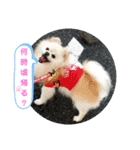 peace smile3（個別スタンプ：6）