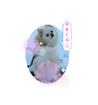 peace smile3（個別スタンプ：7）