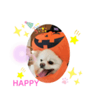 peace smile3（個別スタンプ：8）