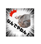 馬うますたんぷ 関西弁（個別スタンプ：3）