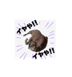 馬うますたんぷ 関西弁（個別スタンプ：11）