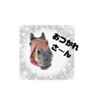 馬うますたんぷ 関西弁（個別スタンプ：15）