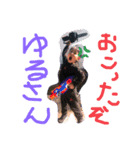 てぃてぃりも（個別スタンプ：1）