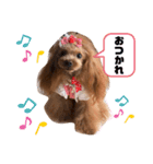 といプーギャビちゃん（個別スタンプ：2）