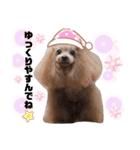 といプーギャビちゃん（個別スタンプ：10）