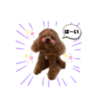 といプーギャビちゃん（個別スタンプ：12）
