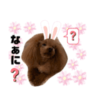 といプーギャビちゃん（個別スタンプ：15）
