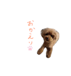 mimimocomepi（個別スタンプ：2）