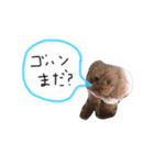 mimimocomepi（個別スタンプ：6）