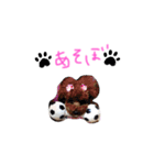mimimocomepi（個別スタンプ：8）