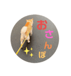むらかみぽこです2（個別スタンプ：2）