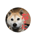 むらかみぽこです2（個別スタンプ：7）