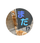 むらかみぽこです2（個別スタンプ：11）