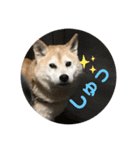 むらかみぽこです2（個別スタンプ：14）