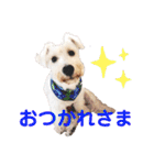 おジョイさん（個別スタンプ：3）