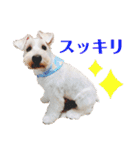 おジョイさん（個別スタンプ：7）