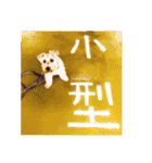 おジョイさん（個別スタンプ：9）
